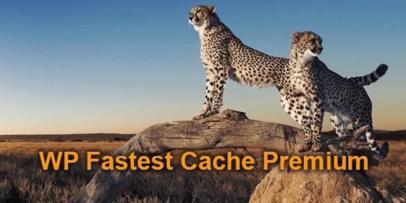 WP Fastest Cache Premium v1.7.5.4无限制版（已汉化） – WordPress缓存插件