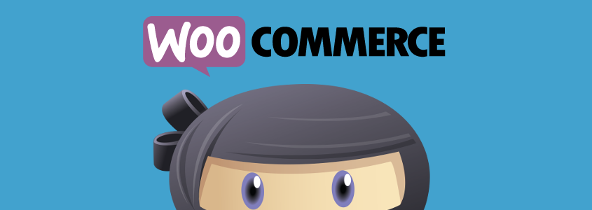 WPAdverts + Pro Extensions v2.2.10 – 使用 WooCommerce 插件  + 附加组件接受付款